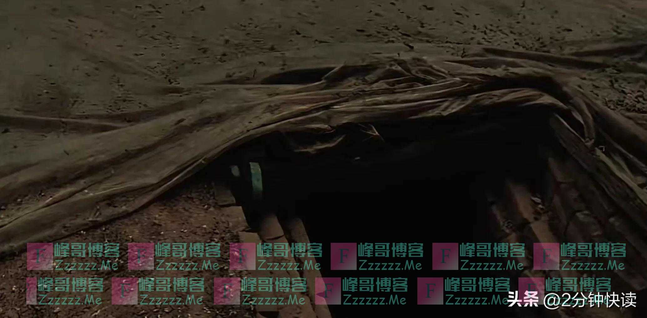 妻子每晚都去打麻将，却从来不输钱，丈夫在自家地窖找到原因