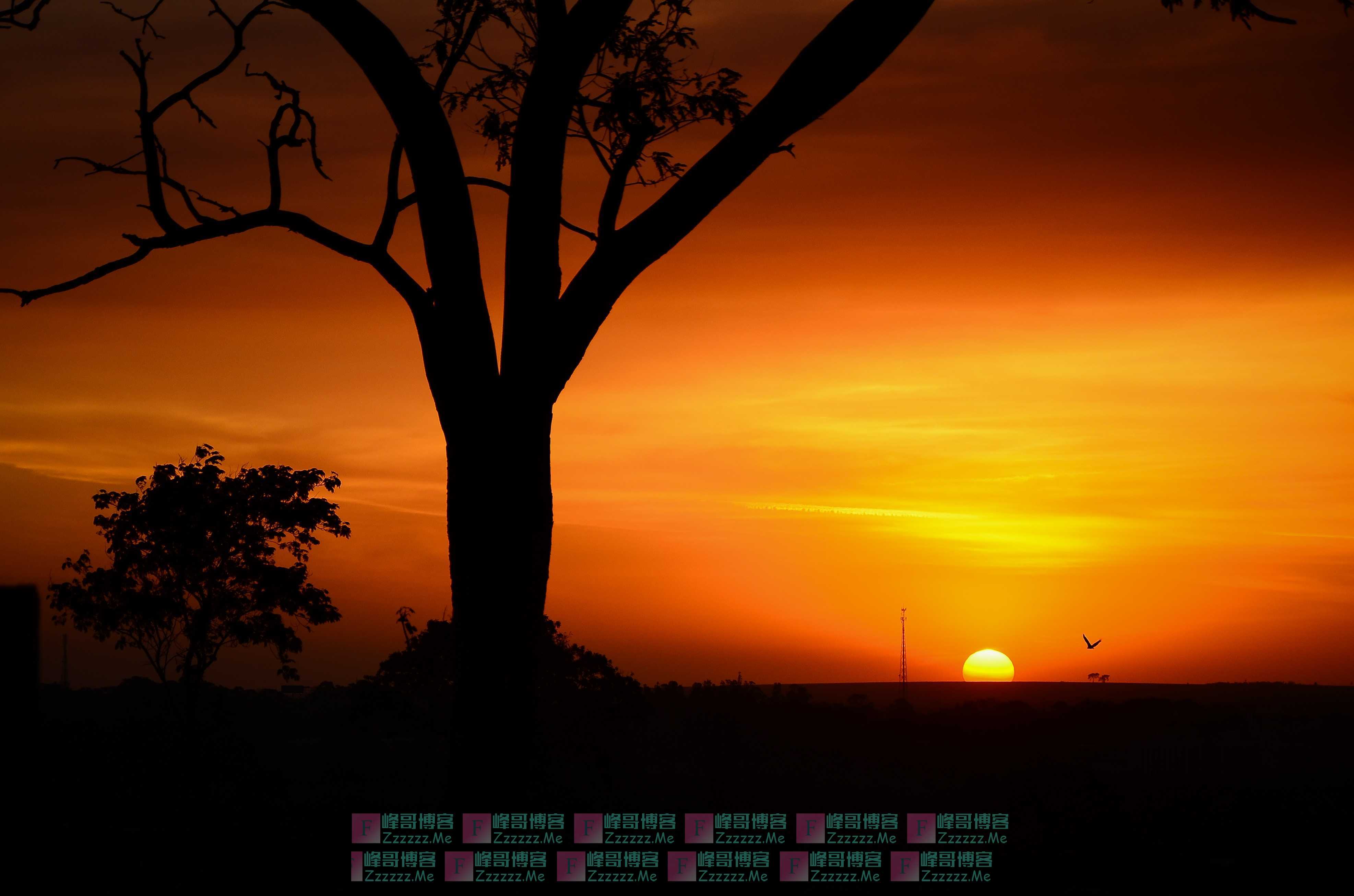 老师去世我通知同学，一年后师母去世，她孩子叫我去通知，我拒绝