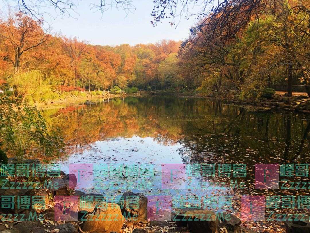 老师去世我通知同学，一年后师母去世，她孩子叫我去通知，我拒绝