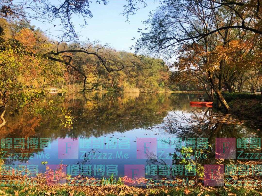 老师去世我通知同学，一年后师母去世，她孩子叫我去通知，我拒绝