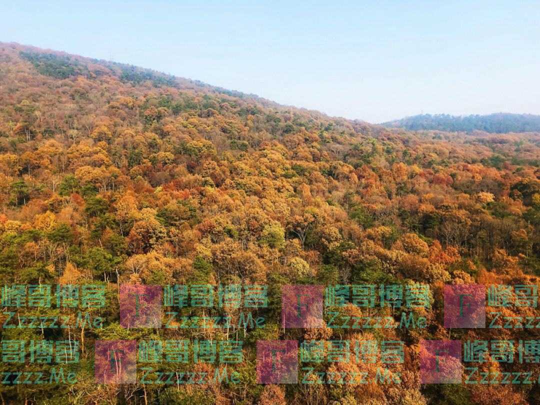 老师去世我通知同学，一年后师母去世，她孩子叫我去通知，我拒绝