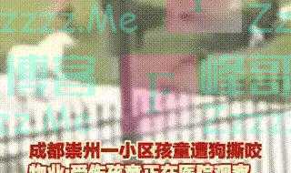 狗咬人事件大揭秘：拉布拉多清白无辜，惊人监控曝光！