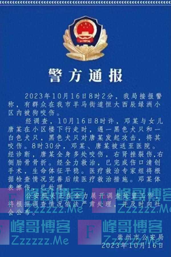 狗咬人事件大揭秘：拉布拉多清白无辜，惊人监控曝光！