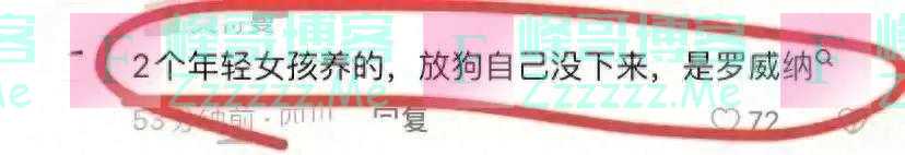 狗咬人事件大揭秘：拉布拉多清白无辜，惊人监控曝光！