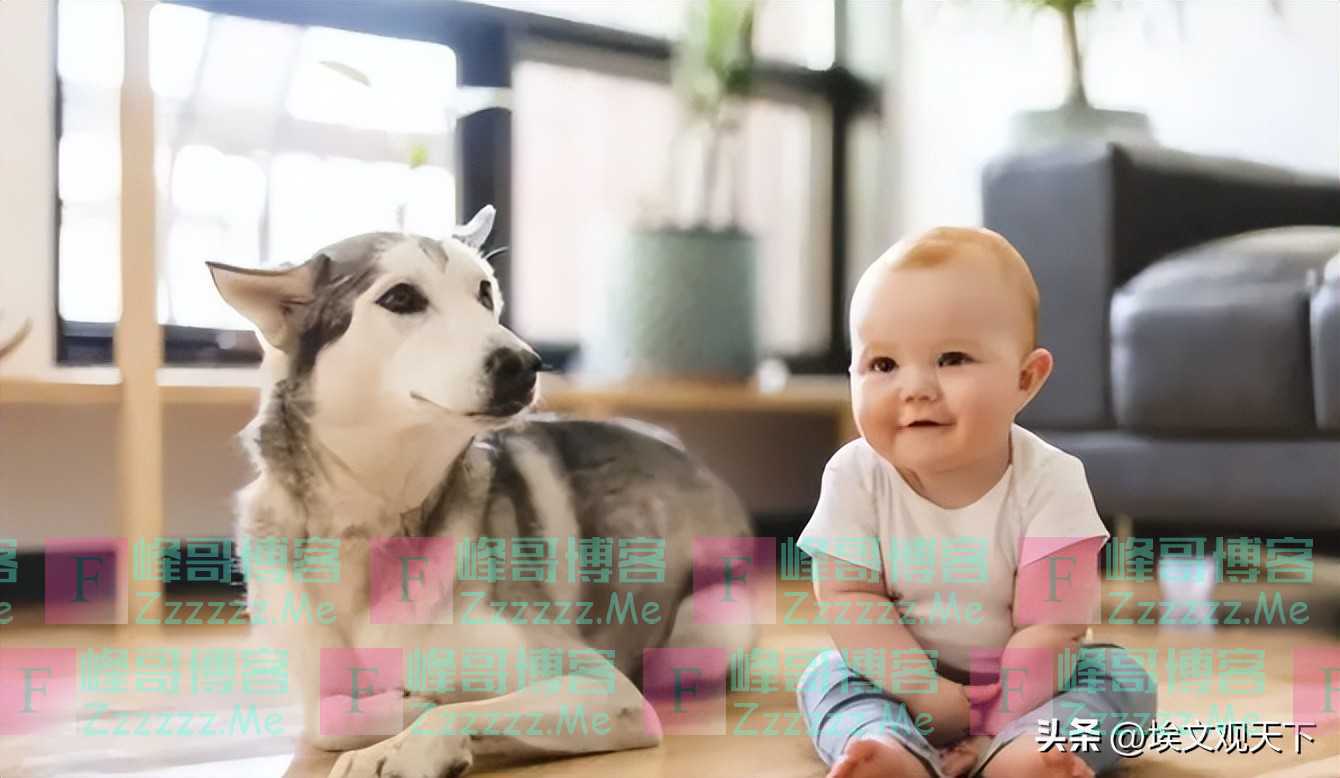 内行人提醒：未来2个月，家里尽量囤上4样，不是胡说，是经验