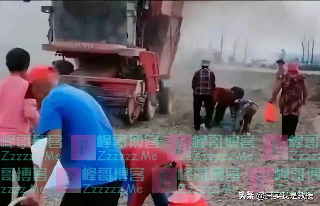 河南一老人捡花生被卷入收割机：老人被打成肉沫，司机或将坐牢！