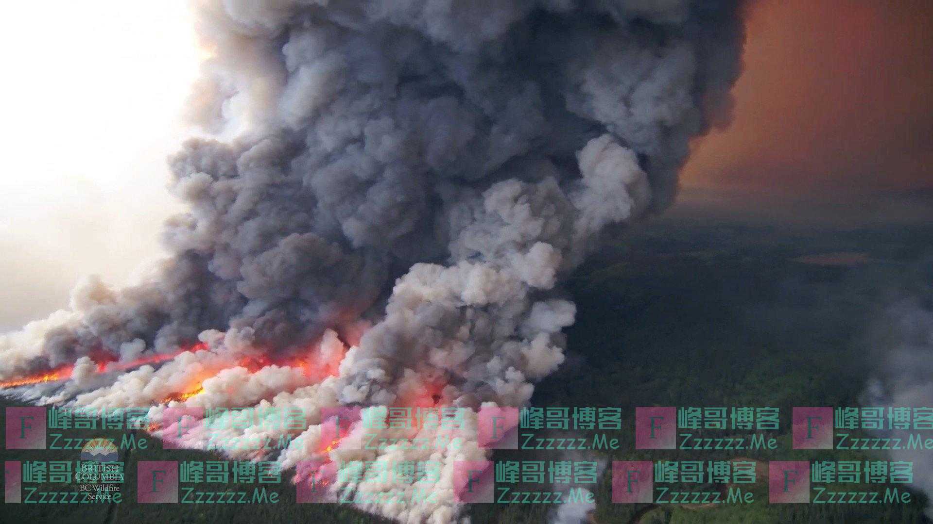 美英科学家发出严厉警告:地球“生命体征”呈“史上最糟”,所有生命正处于危险之中