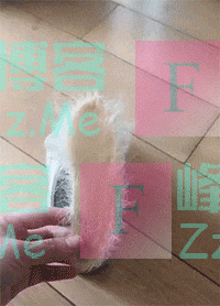 毁三观：湖南一女子穿着透明装下泳池，亮点一览无余，太尴尬了！