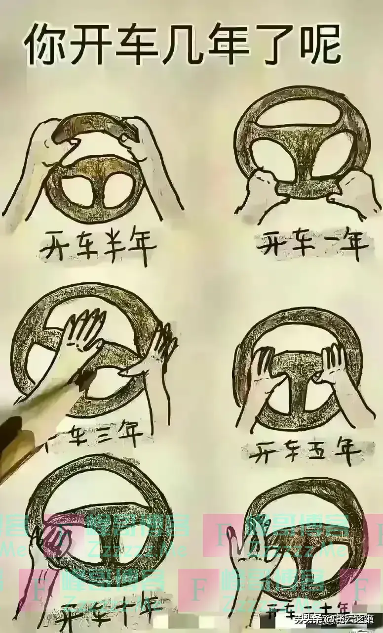 一张图开车的姿势就可以看出你开车几年了，用车的常用，司机必备