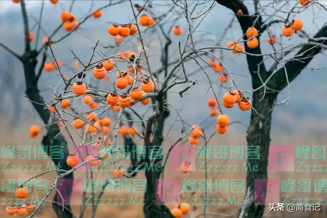 俗话说,“阴树不能进家门”!哪些是“阴树”?看看你家有吗?