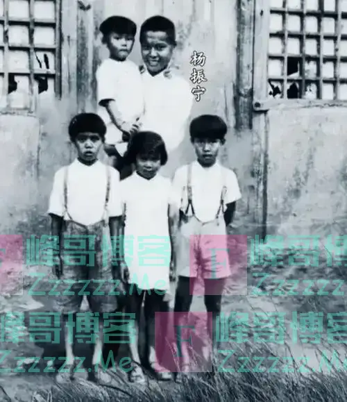 101岁杨振宁月工资惊人!工资全部上交,难怪翁帆看不上那点遗产