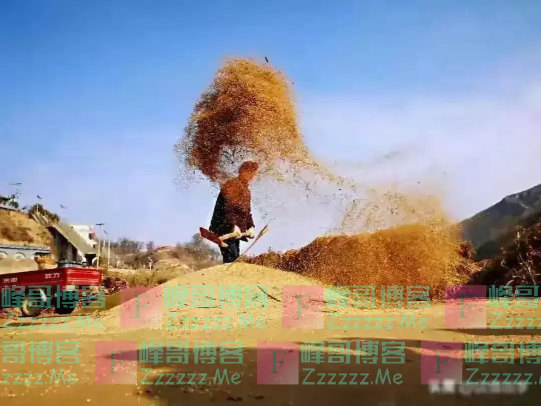 专家建议:恢复农业税,让农民重拾公粮的必要性