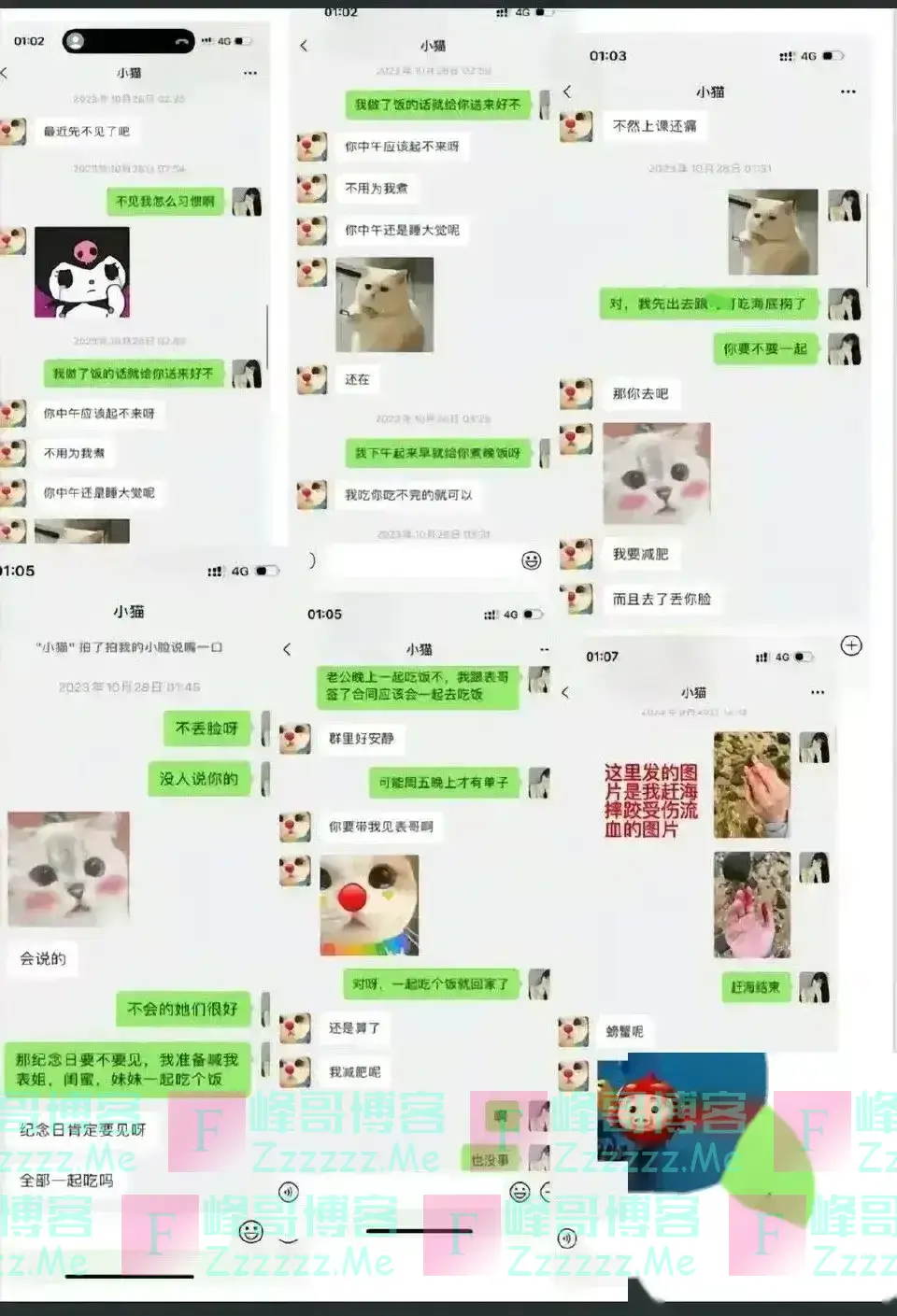 胖猫事件反转！胖猫和谭竹聊天记录曝光，难道谭竹才是受伤的人？