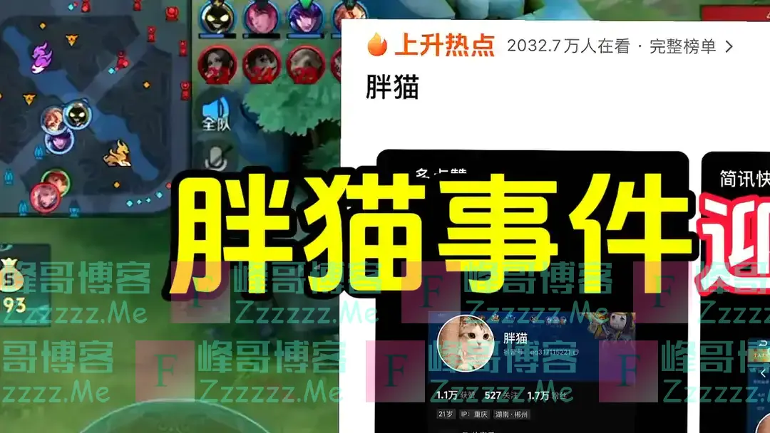 胖猫事件女主谭竹生活细节曝光,胖猫只是被骗的其中之一罢了!