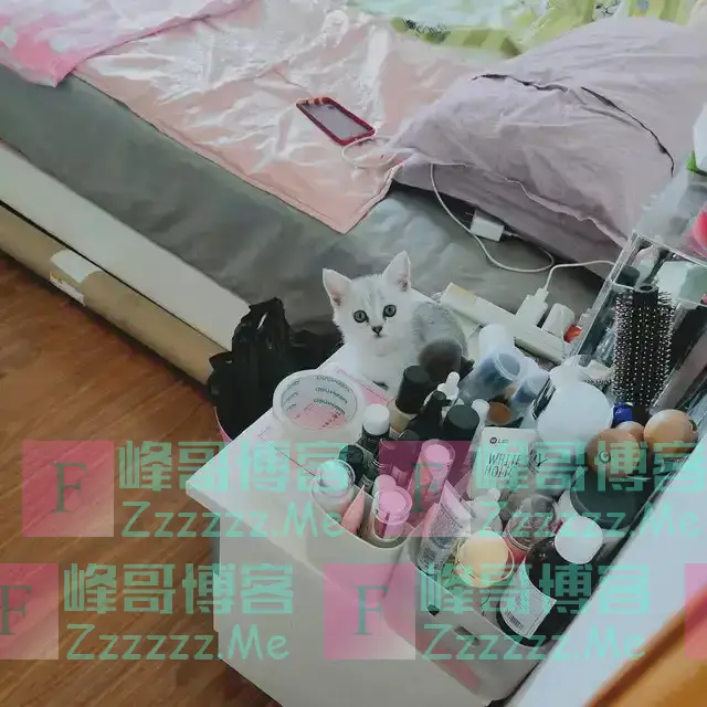 “床底有三样,家败人丁散”,无论床多大,床底不要放这6种东西!