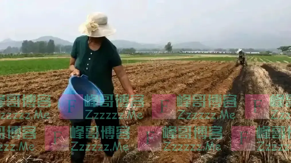 花费1亿请赵本山代言，成本2毛骗农民200亿，创始人至今没出狱