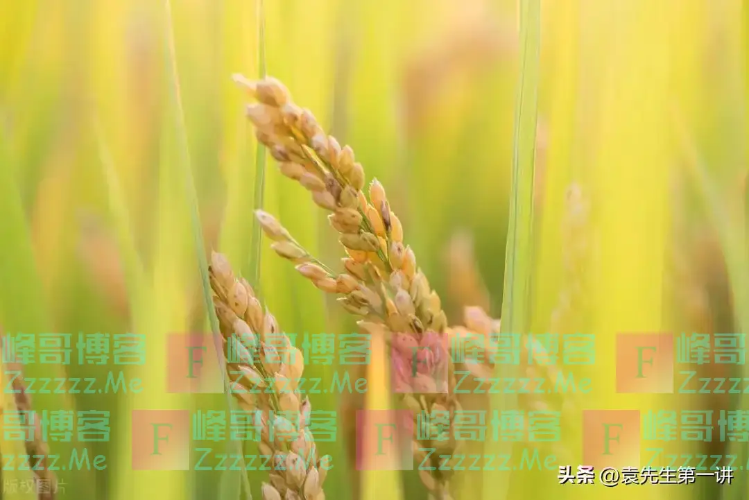 明日立秋是“凶日”,牢记:1要收、2要做、3要吃,尊重传统