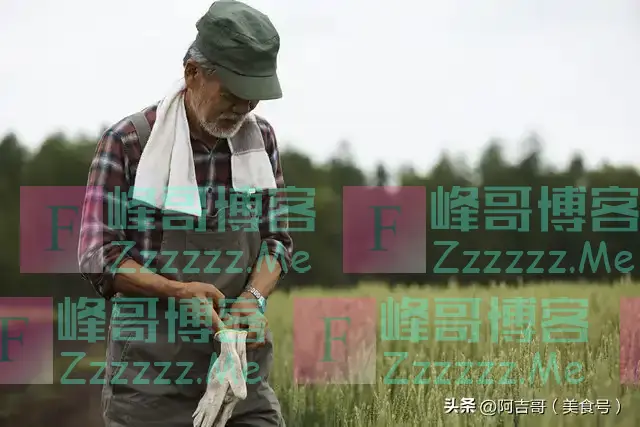 “早立秋凉飕飕，晚立秋热死牛”，2024年立的是早秋还是晚秋？