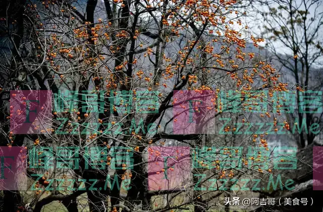 “早立秋凉飕飕，晚立秋热死牛”，2024年立的是早秋还是晚秋？