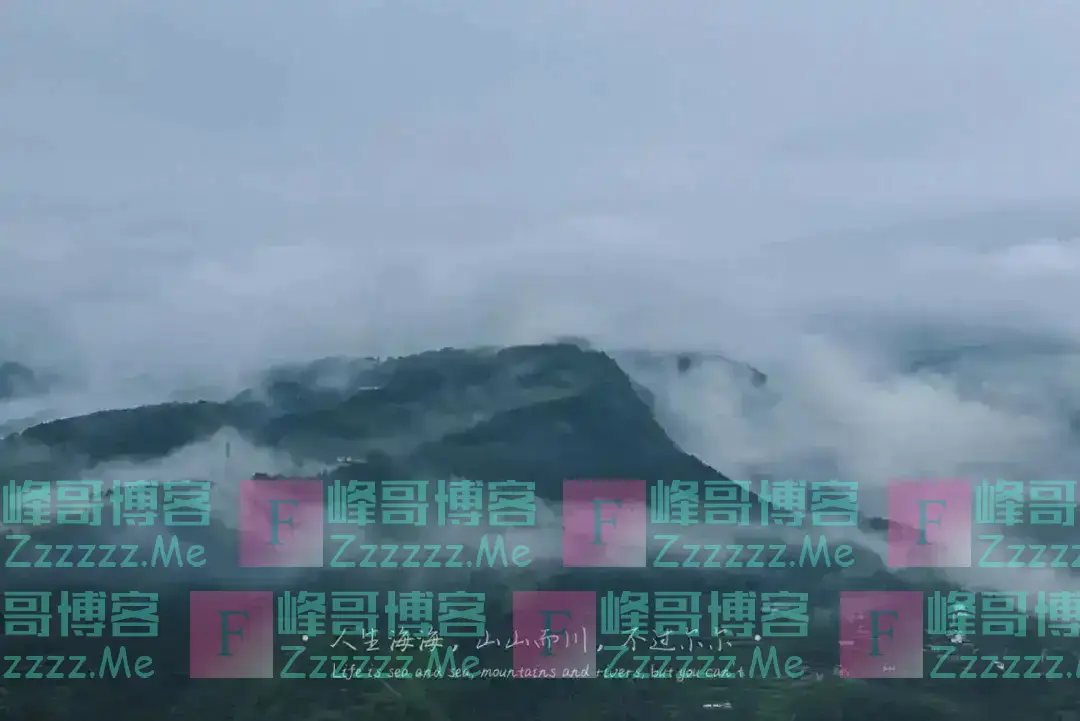 发现一个现象:兄弟姐妹中,那个最大方、最宽厚、最不斤斤计较的人,往往日子过得更好,孩子一般也