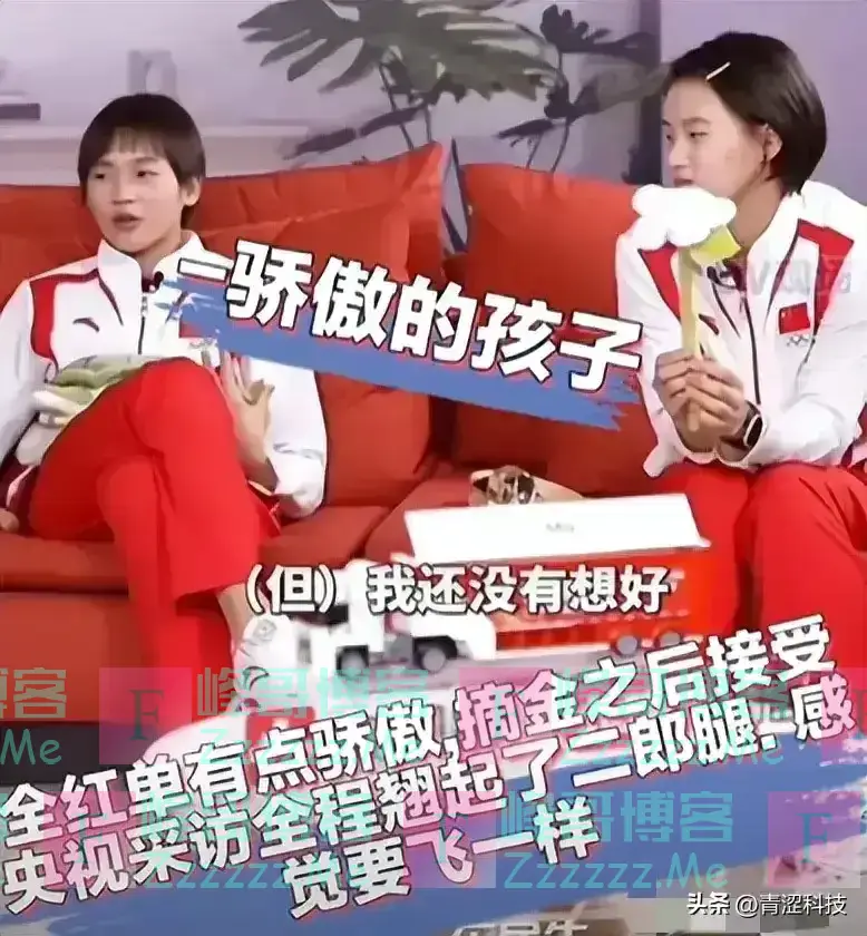 全红婵回母校演讲,坐姿谈吐再被网友攻击:除跳水,其他素质太低