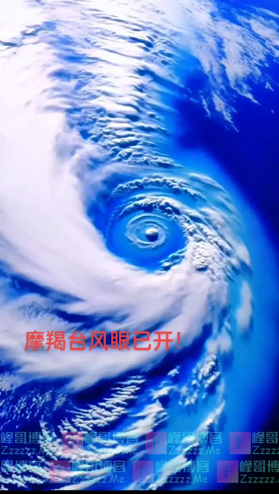 台风“摩羯”来了，广东进入打鸡血状态，果然很广东