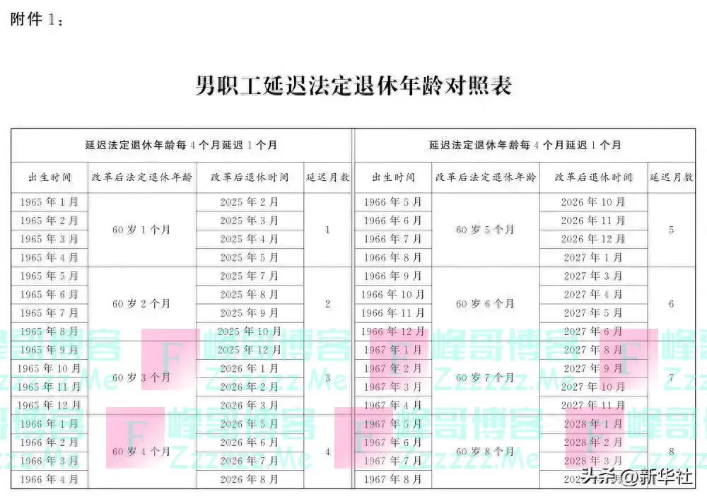 全国人民代表大会常务委员会关于实施渐进式延迟法定退休年龄