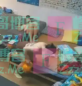 最近,我在网上看到一段视频,真是让我瞠目结舌!画面里