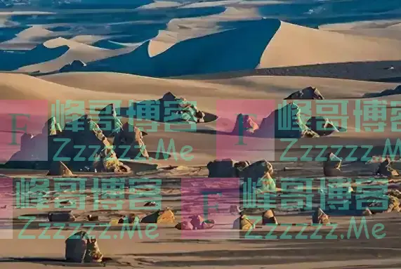 彭加木到底是失踪还是叛逃？其实这一切，早就在他的计划之内？