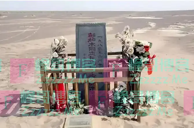 彭加木到底是失踪还是叛逃？其实这一切，早就在他的计划之内？