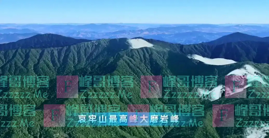 云南哀牢山有多可怕？是现实版的云南虫谷，真正的人类禁区！