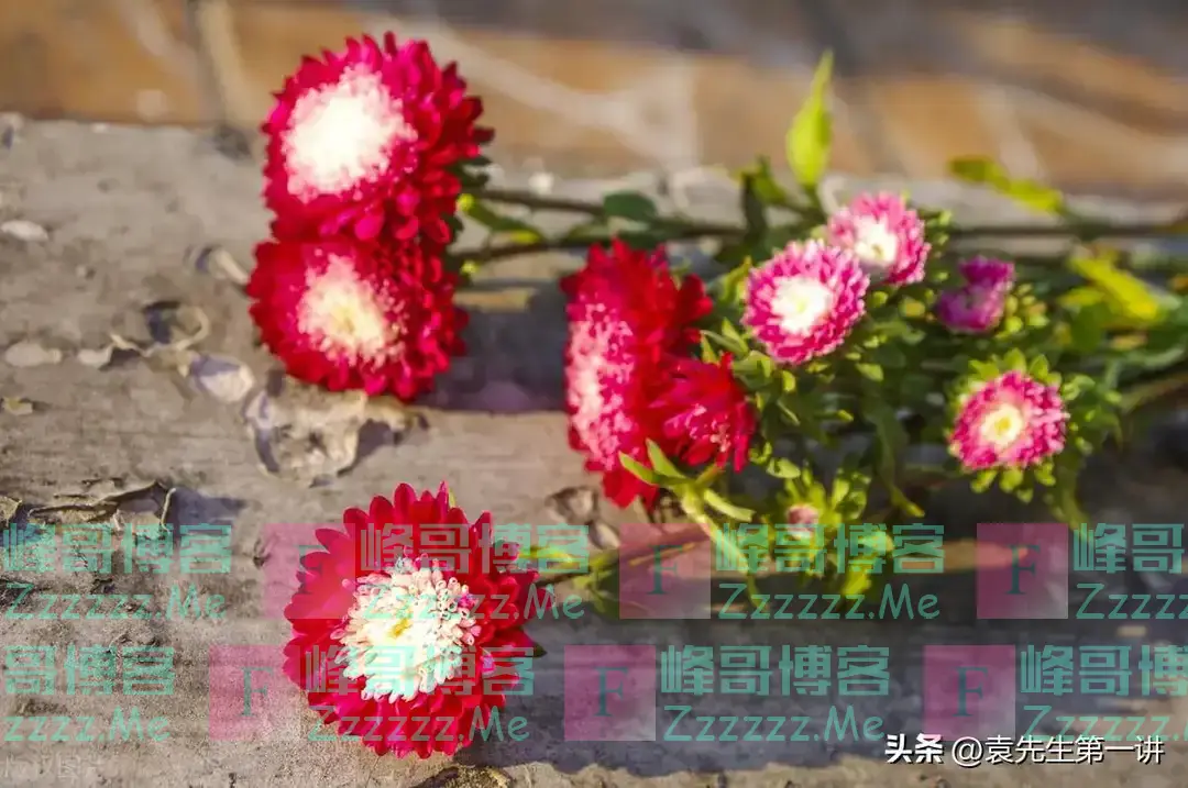 “冷不冷,就看九月九”,今日九九重阳节,今冬冷到哭?何时冷?