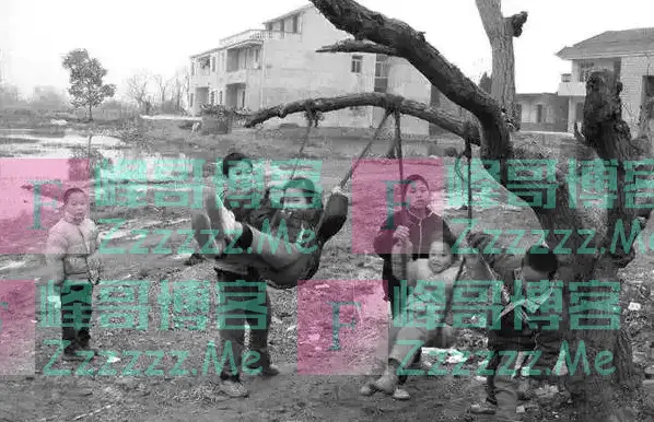 著名专家预言:试管婴儿寿命仅40年,那首例试管婴儿如今怎样了?