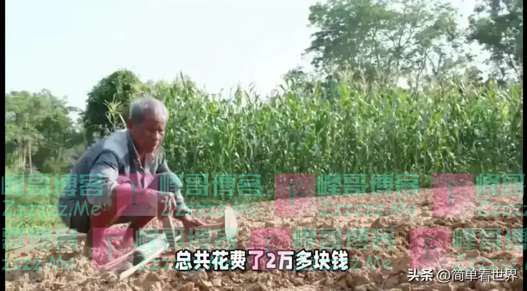 11月1日起:新农合缴费“一夜大改”,对于断缴一律按新规处理