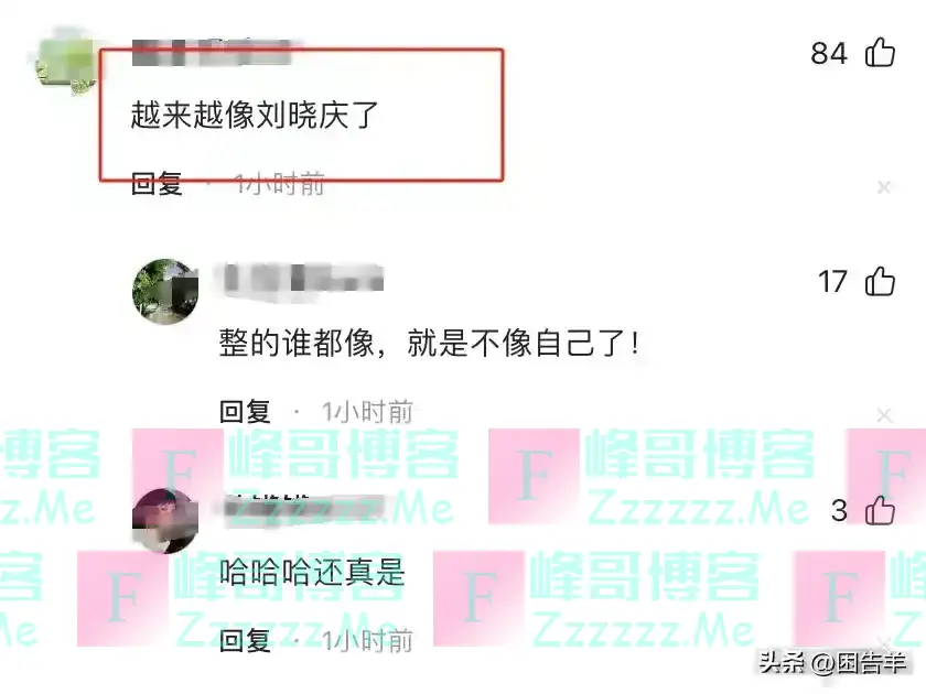 杨紫32岁生日照风波：网友直言‘亲妈都认不出'，媒体批整容过度