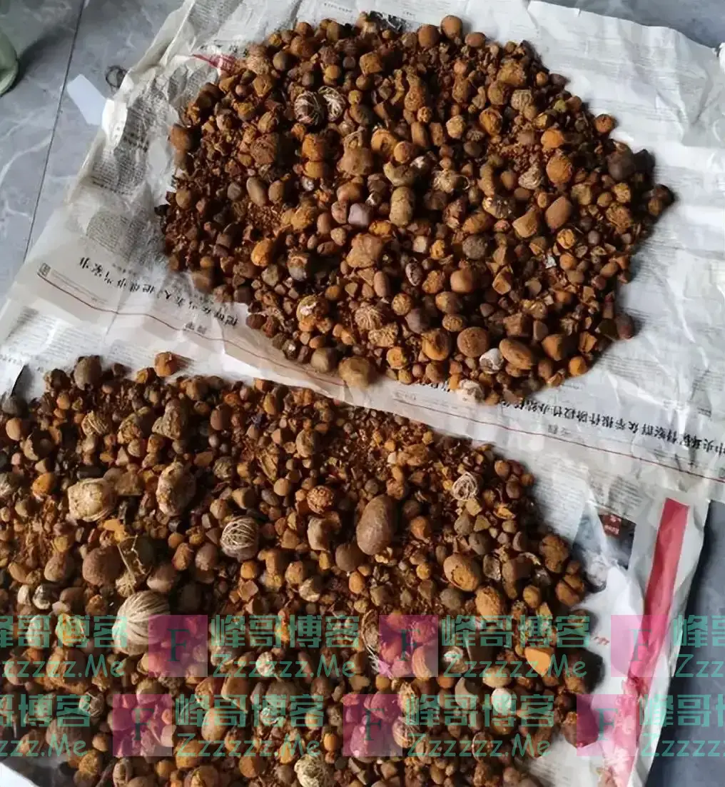 1公斤1650000元，比黄金还贵！以前在农村当垃圾，为何现在暴涨？