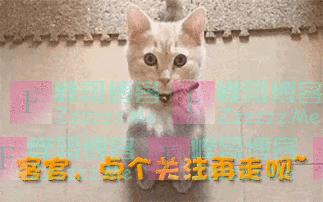 陈赫寝室4个人火了3个,为什么不帮剩下那个?郑恺:真心带不动