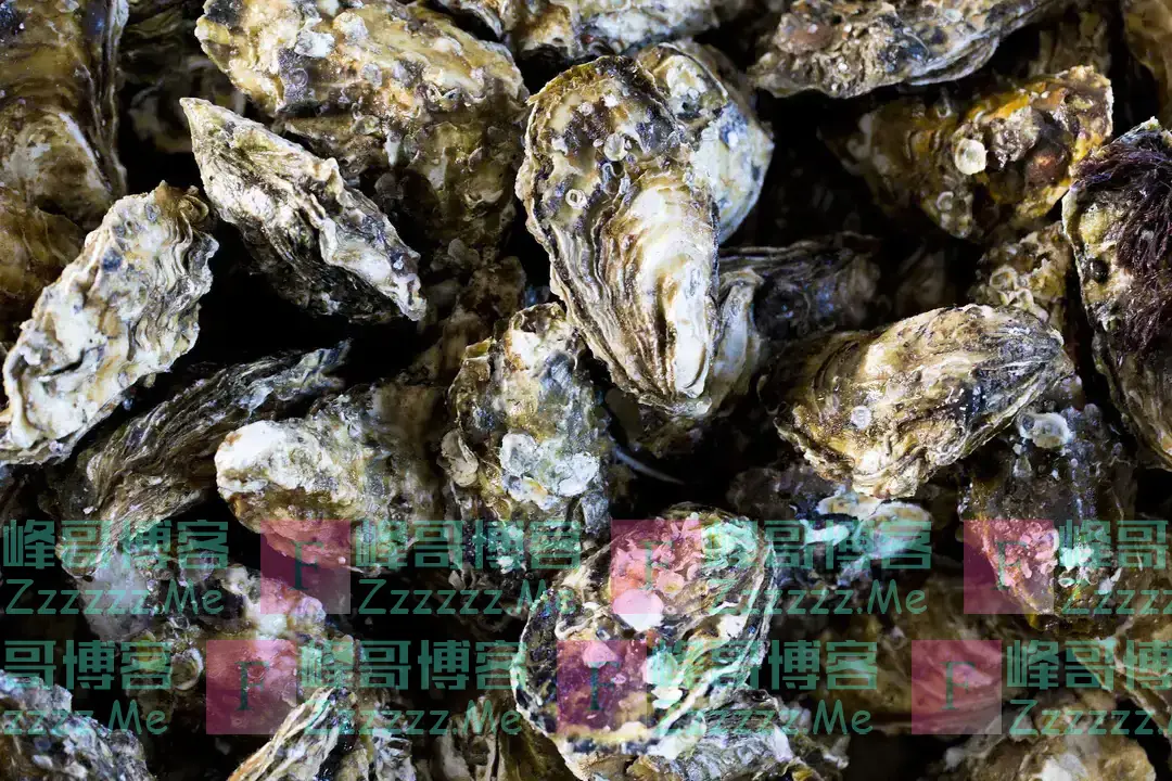 明明长得一模一样，为啥一个叫牡蛎，一个叫生蚝？今天终于明白了