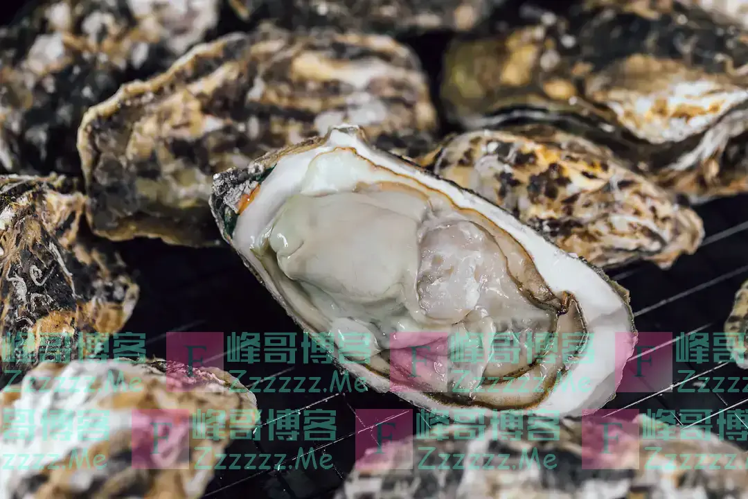 明明长得一模一样，为啥一个叫牡蛎，一个叫生蚝？今天终于明白了