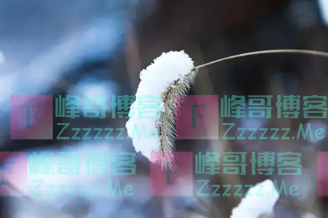 21号冬至，今年冬至不一般，六十年一遇，4大特点，早看早准备