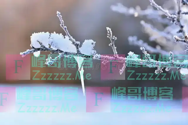 21号冬至，今年冬至不一般，六十年一遇，4大特点，早看早准备