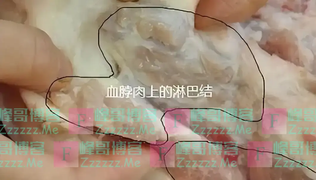猪肉中“最毒”器官，我国虽明令禁止，但还有人不知情买来吃