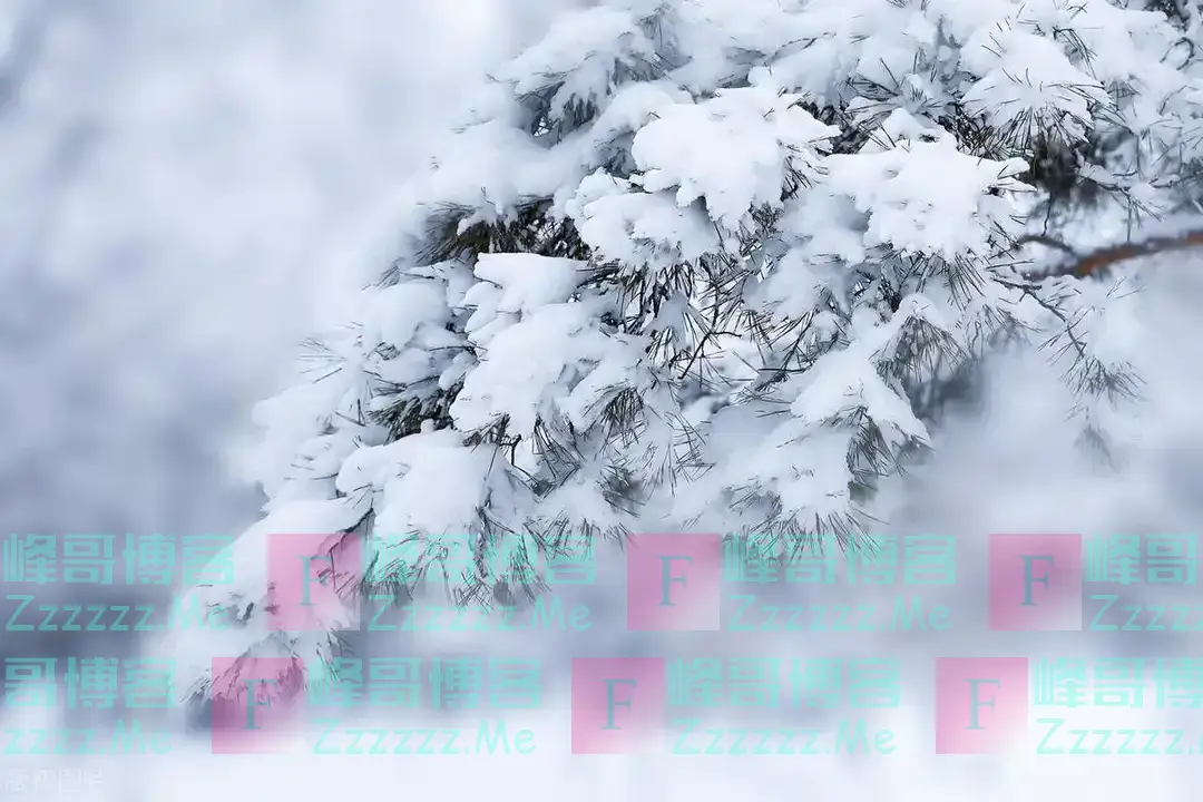 21日冬至，今年冬至不一般，128年难遇，有3大特点，早看早知道