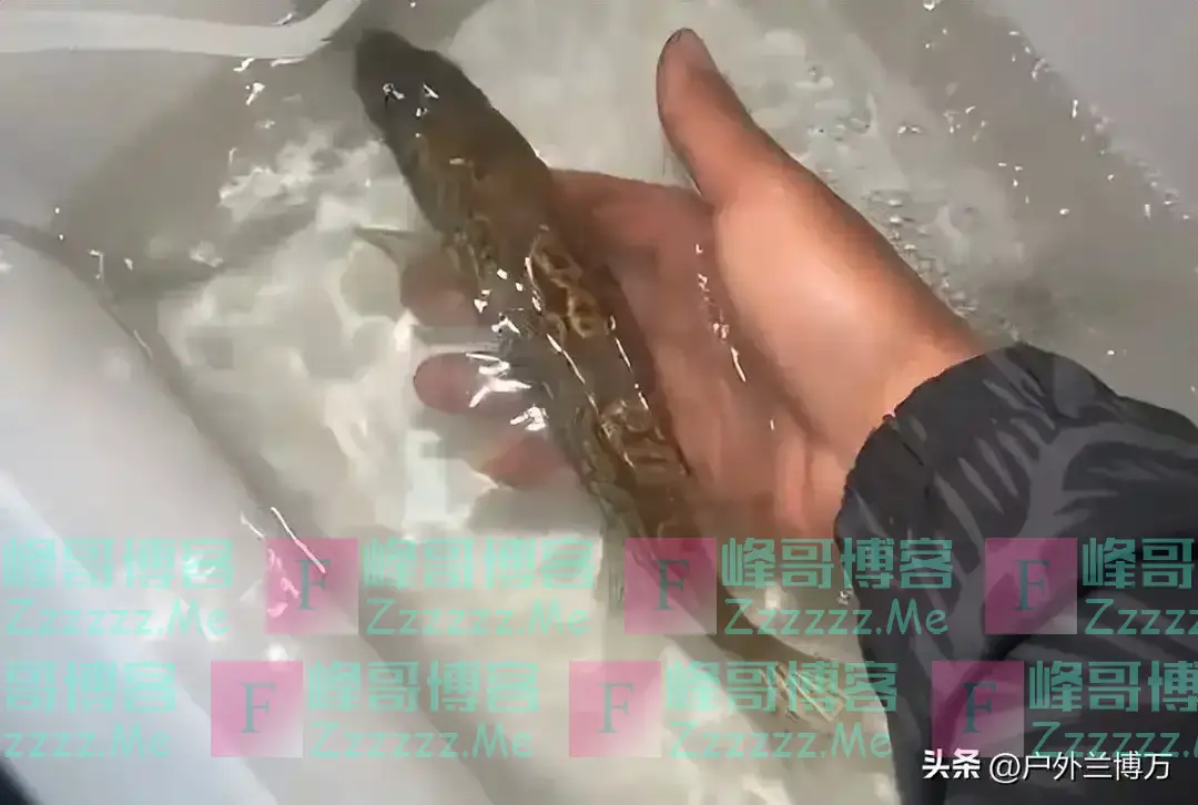 江西一男子钓到斑鳜鱼，身上“长”满铜钱，网友：北京三环一套房