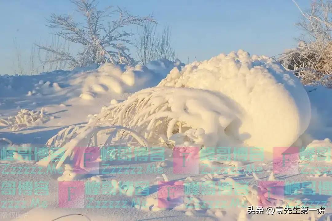 “不怕冬至雪，就怕冬至晴”，今日冬至，天晴有啥预兆？早了解