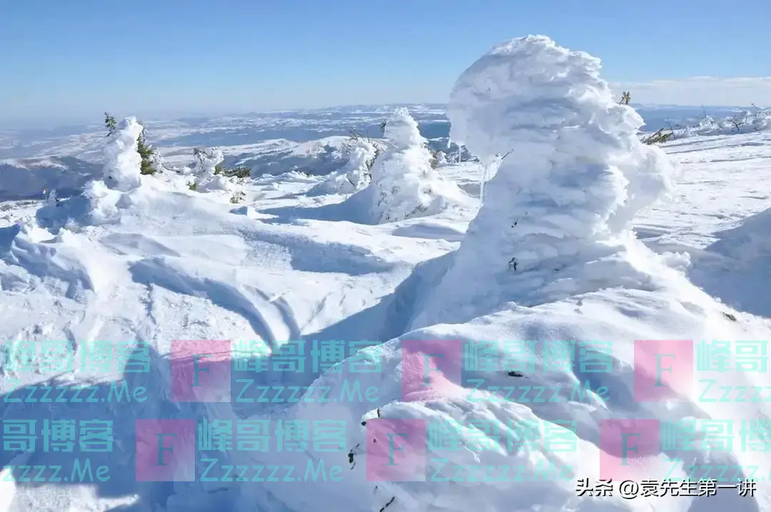 “不怕冬至雪，就怕冬至晴”，今日冬至，天晴有啥预兆？早了解