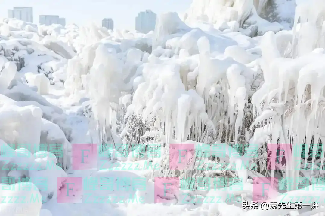 “不怕冬至雪,就怕冬至晴”,今日冬至,天晴有啥预兆?早了解