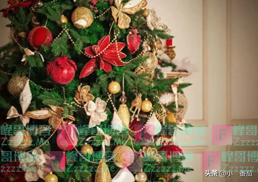 今年没人提抵制圣诞节，为啥还这么冷清?网友：4个原因，很现实