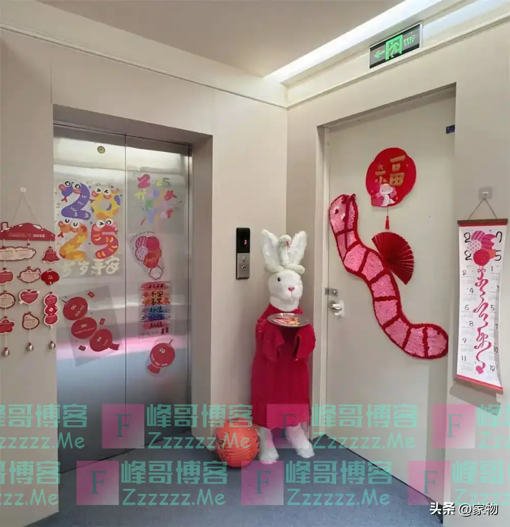“一梯一户”的快乐谁懂?浙江姑娘把电梯间当玄关,布置得太实用