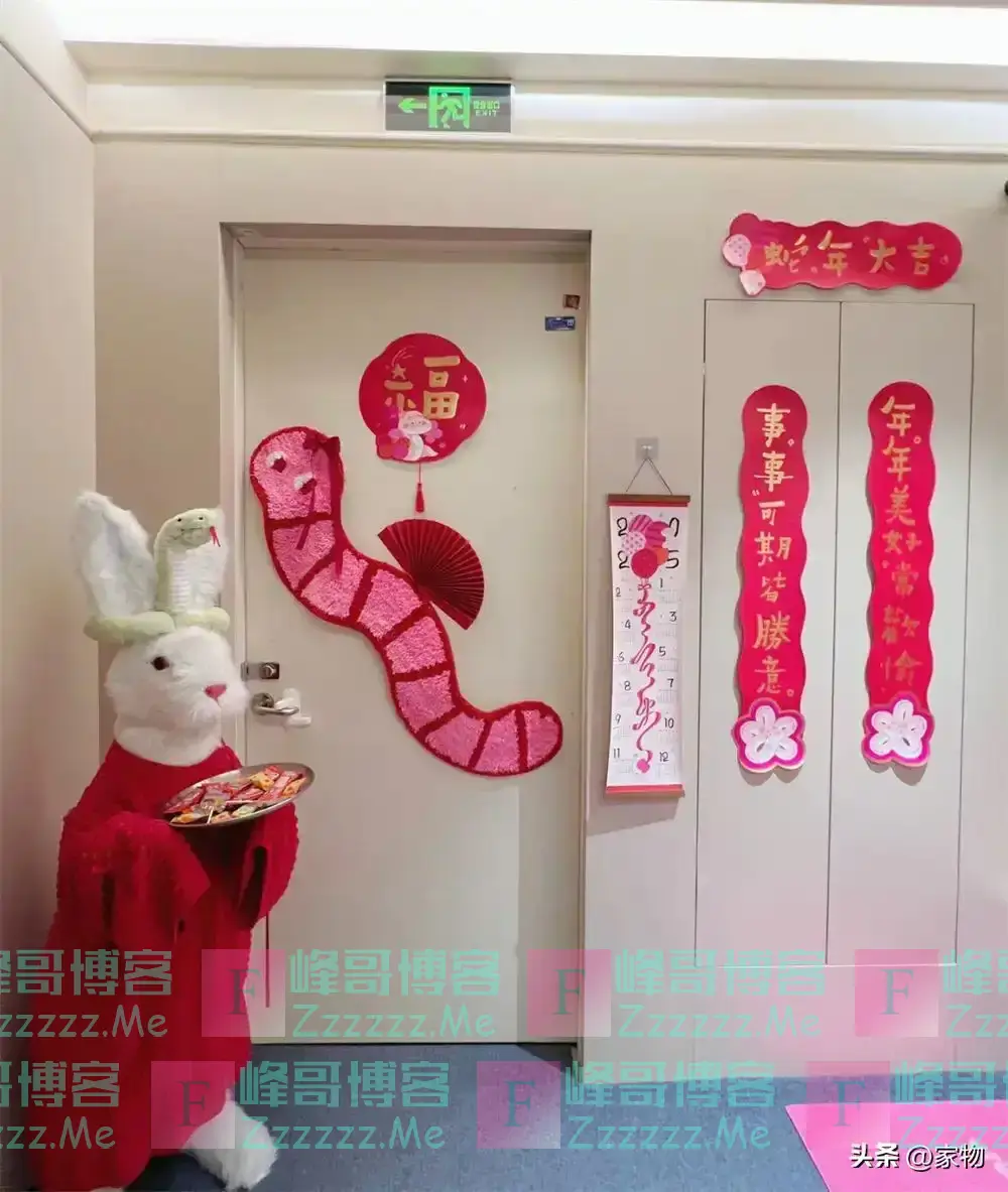 “一梯一户”的快乐谁懂?浙江姑娘把电梯间当玄关,布置得太实用